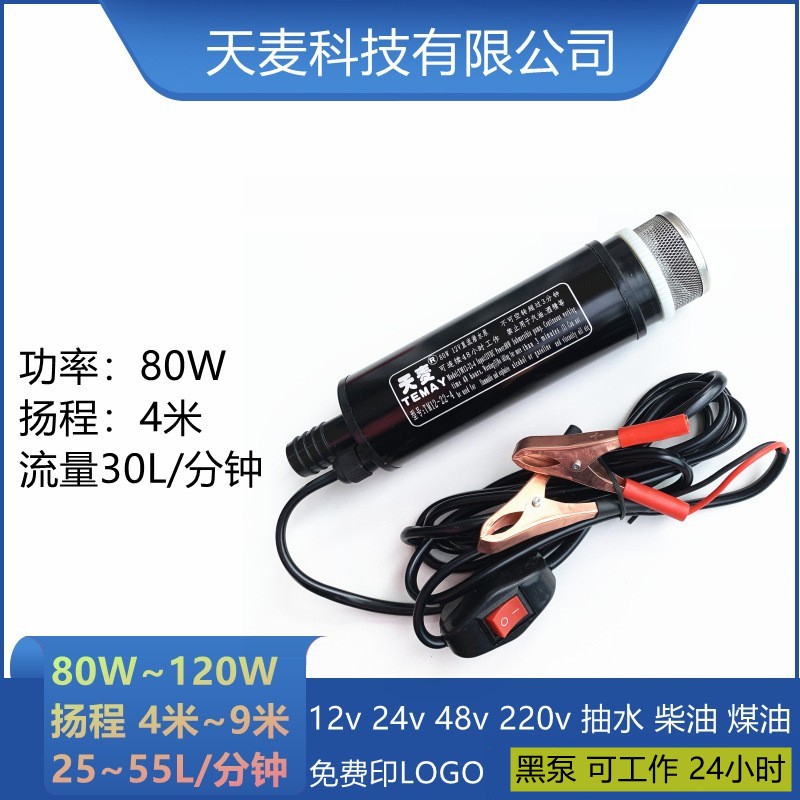 Temay潛水24v摩托車抽水泵加油器微型電動抽水抽油泵12v直流水泵