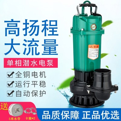 農(nóng)用220V 1寸2寸3寸4寸四寸潛水泵抽水機大流量高揚程泵魚塘灌溉