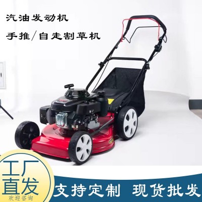 現貨汽油草坪機 小區綠化草坪修剪機 四沖程手推自走剪草割草機