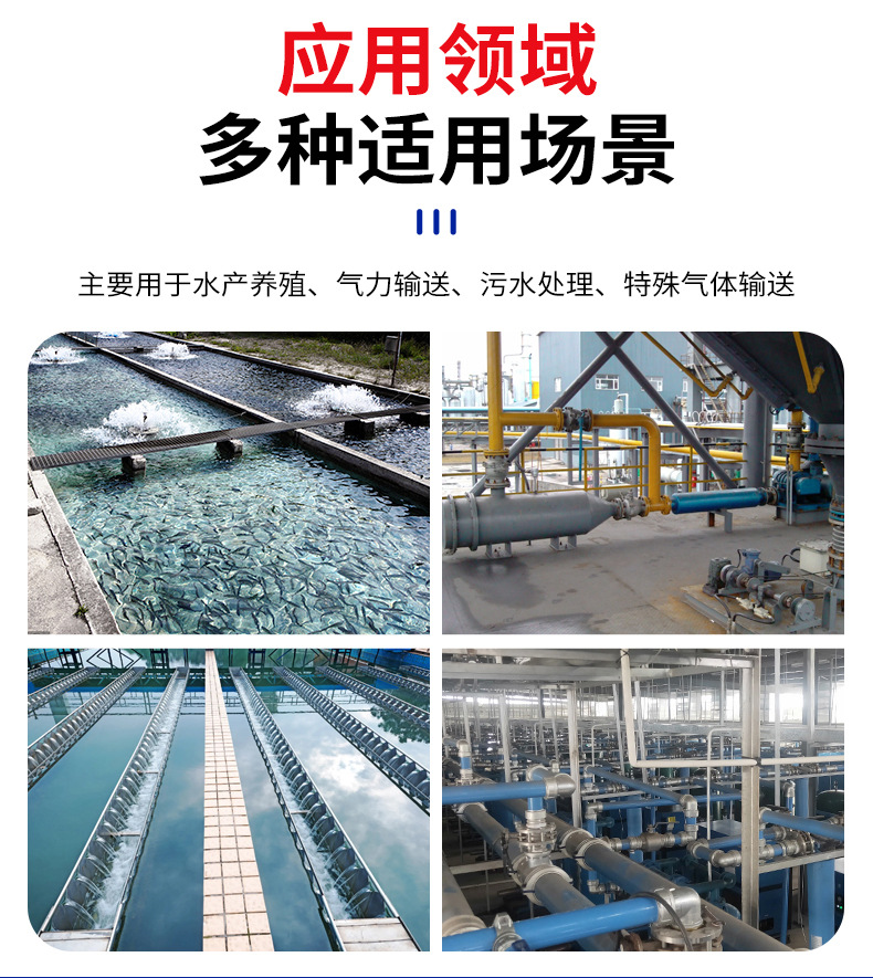 羅茨風(fēng)機(jī)_10