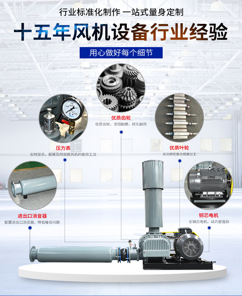 羅茨風(fēng)機(jī)_04