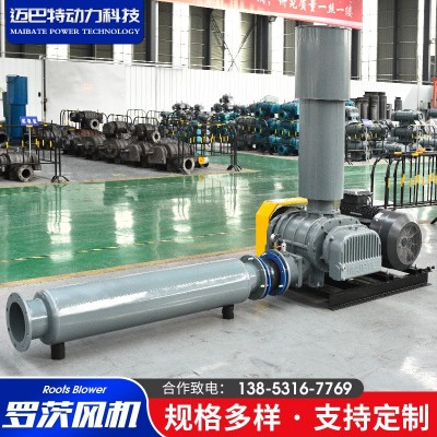 WHSR羅茨風機 廠家供應(yīng)大流量高效魚塘增氧用污水曝氣羅茨風機