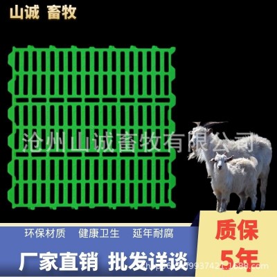 羊用漏糞板塑料羊床板養羊專用的漏糞板保育床接糞漏縫板養殖設備