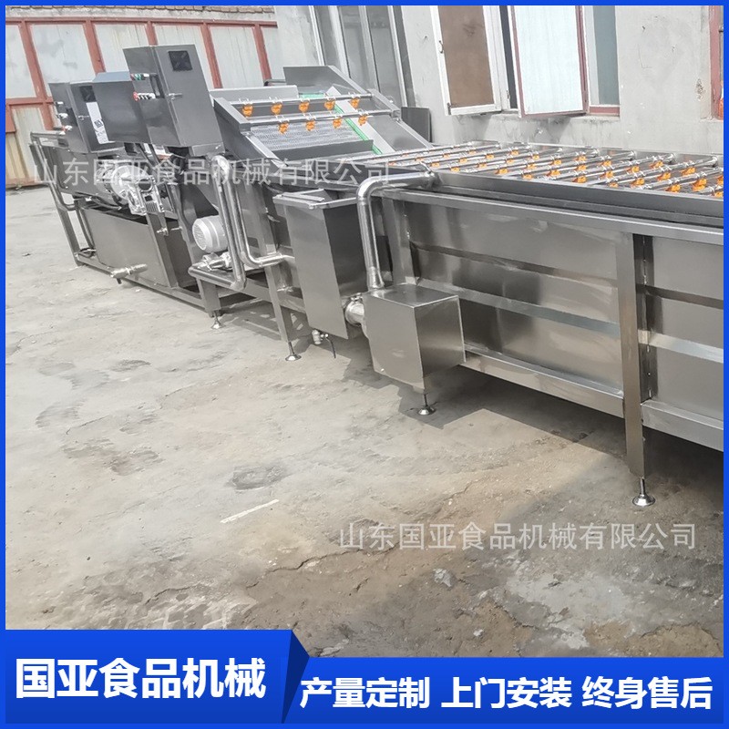 全自動小龍蝦氣泡清洗機 大姜清洗機 果蔬高壓噴淋凈菜設備