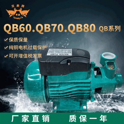 廠家定制批發(fā)QB系列qb60純銅電機110v220v清水增壓自吸泵
