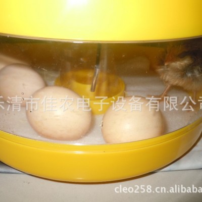 佳農牌高級科教孵化器