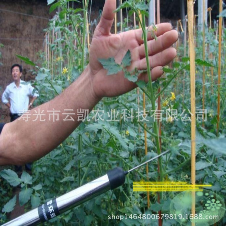 Dp8DIxfom_1379654235_conew2