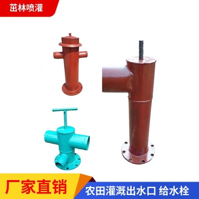 高標(biāo)準(zhǔn)農(nóng)田項(xiàng)目用一體式出水栓 鋼制帶法蘭出水口 給水栓 出水樁