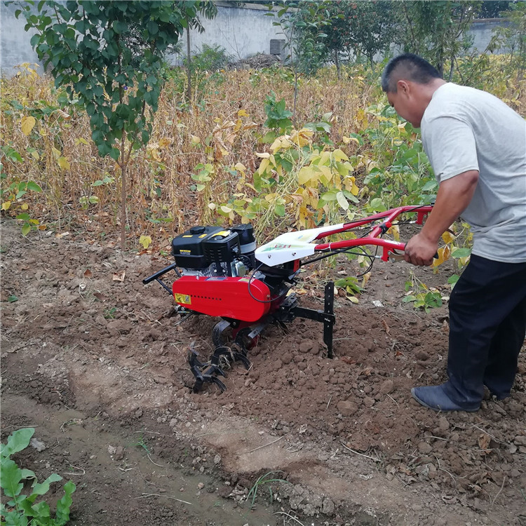 汽油耕地趟田機(jī)