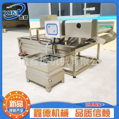 商用不銹鋼葉菜類清洗機(jī) 萵苣清洗設(shè)備 全自動果蔬氣泡清洗機(jī)