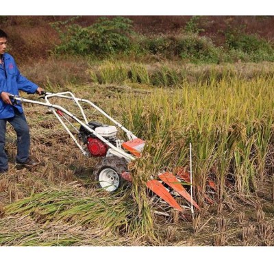 手推式玉米花生割曬機 汽油移動式水稻谷子收割機 農(nóng)用秸稈放倒機