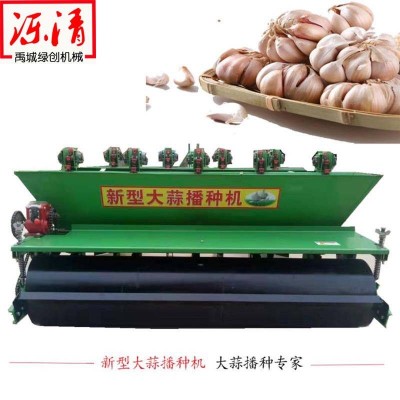 大蒜種植機蒜苗點種機9行平土板式大蒜播種機螺旋式桃胡精播機