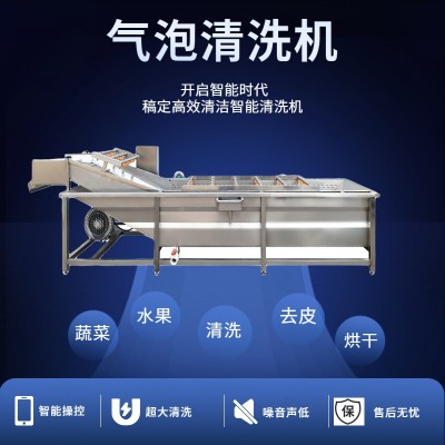 水果蔬菜清洗機(jī)全自動(dòng)噴淋式果蔬清洗機(jī) 葉類(lèi)蔬菜高壓氣泡清洗機(jī)