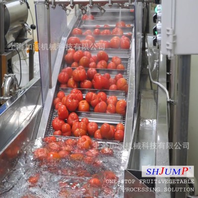 番茄醬罐頭加工生產(chǎn)線(xiàn) 番茄沙司調(diào)配設(shè)備 番茄塊罐頭加工設(shè)備