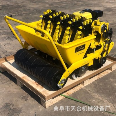 操作簡便 手推汽油大蒜行播種機 零故障質量可靠 德意播國貨精品