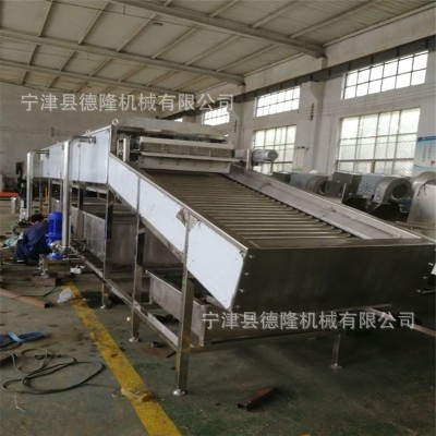 網(wǎng)鏈風(fēng)冷風(fēng)涼輸送線玉米噴淋清洗設(shè)備德隆非標(biāo)定制