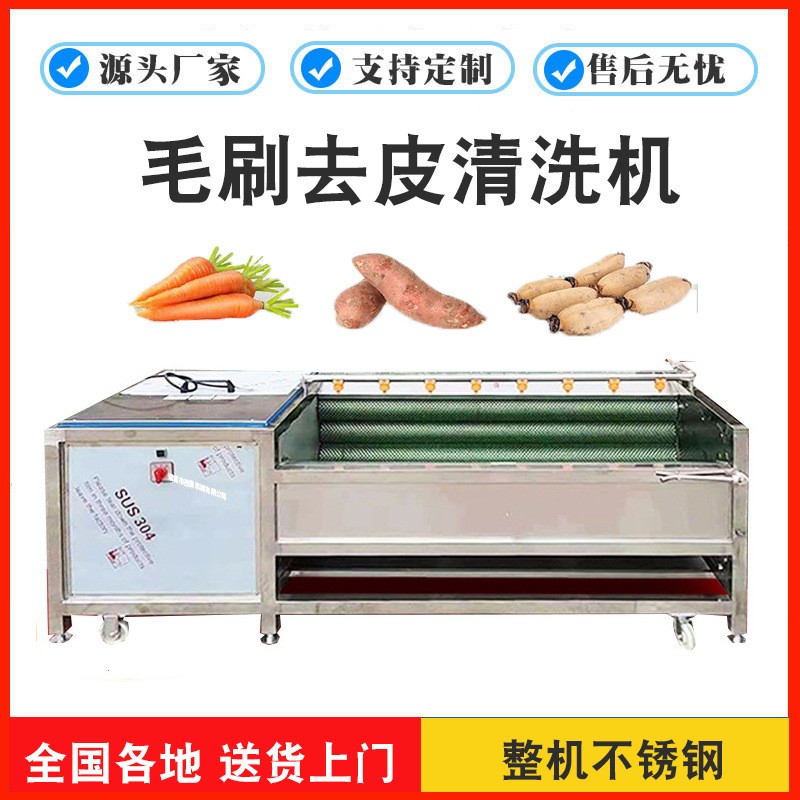 平行海蠣子毛刷清洗機 貝殼生鮮去泥機械 生蠔不銹鋼毛輥洗菜設備