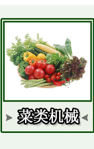 銷售工業(yè) 凍肉制品剁塊機(jī)雞鴨帶骨連續(xù)切丁機(jī)切豆皮設(shè)備 工廠