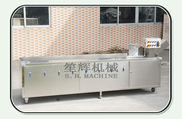 笙輝批發 汽泡清洗機洗果機大棗果蔬清洗機 供貨商