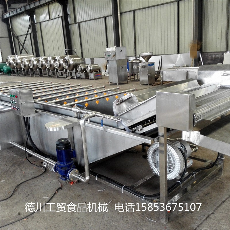 花生毛豆氣泡清洗機(jī) 中藥材氣泡清洗設(shè)備 西紅柿氣泡清洗機(jī)