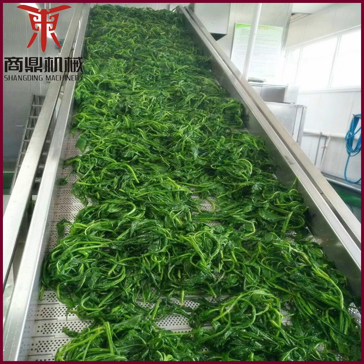 果蔬清洗機(jī) 氣泡沖浪噴淋臭氧洗果機(jī) 臭氧去農(nóng)殘清洗設(shè)備