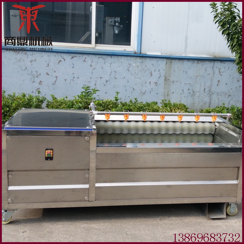 廠家供應(yīng)紅薯清洗機(jī) 不銹鋼毛刷去皮清洗機(jī) 根莖類蔬菜毛輥清洗機(jī)