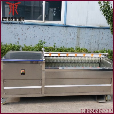 廠家供應(yīng)紅薯清洗機 不銹鋼毛刷去皮清洗機 根莖類蔬菜毛輥清洗機