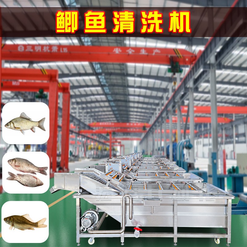 鯽魚清洗加工流水線 全自動鯽魚氣泡清洗機(jī) 海產(chǎn)品噴淋清洗設(shè)備