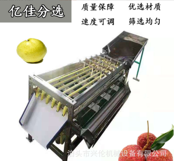 無花果分揀機 臍橙選果機 不銹鋼材質(zhì)斜板出料果蔬分選設(shè)備