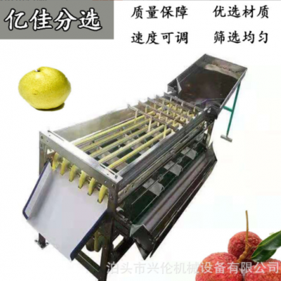 無花果分揀機 臍橙選果機 不銹鋼材質斜板出料果蔬分選設備
