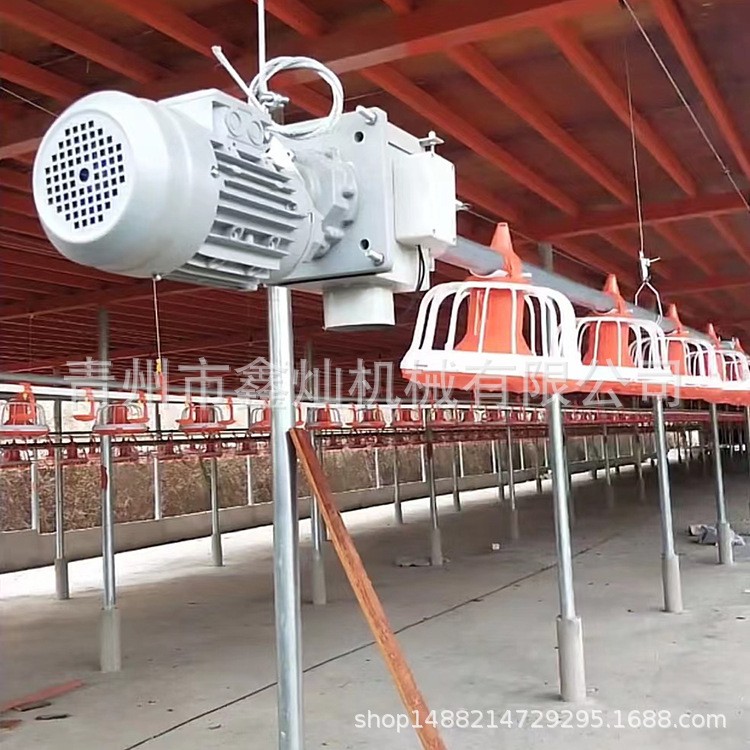 自動料線 雞舍養(yǎng)雞自動料線 肉雞平養(yǎng)料盤式供料系統(tǒng) 養(yǎng)殖設(shè)備