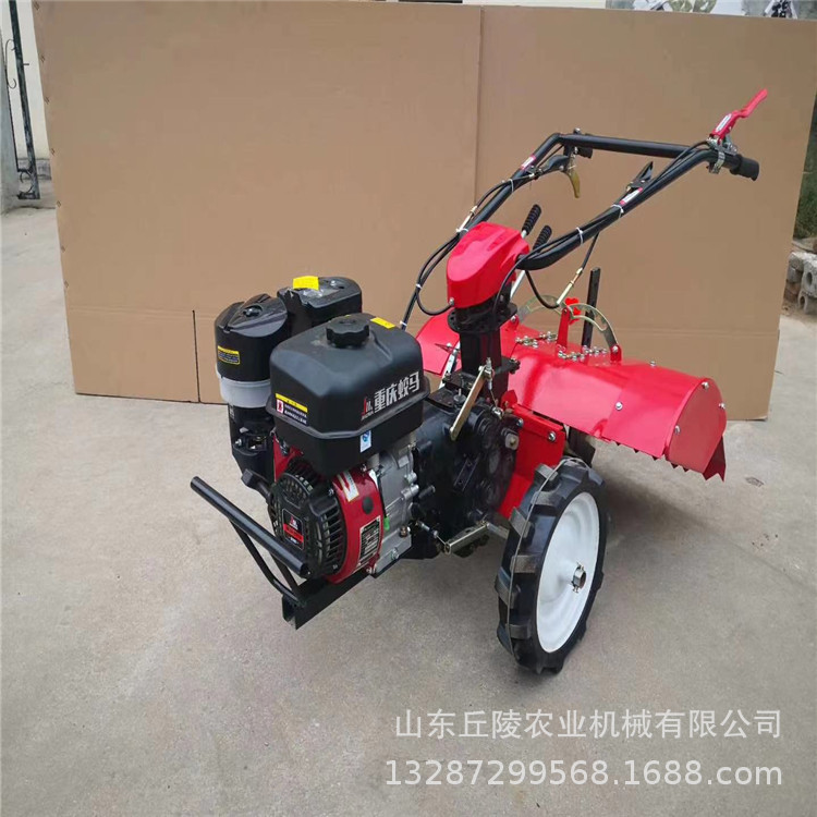 bbd4d73df01d461aab87870737749c