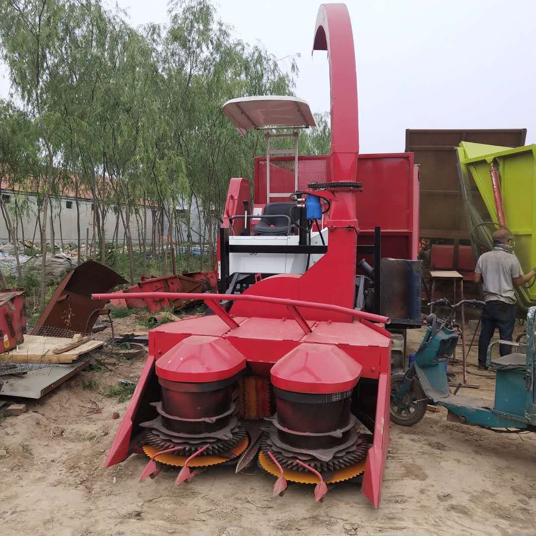 453308823794892899 - 副本 (2).jp