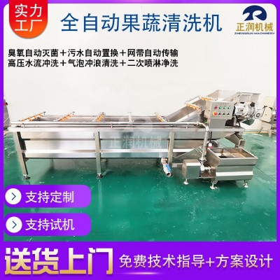 現貨商用果蔬白菜清洗機 全自動凈菜加工設備 洗蔬菜水果的清洗機