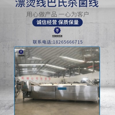 科勒斯LPT10000漂燙線獼猴桃片固色固型芒果片漂燙防氧化