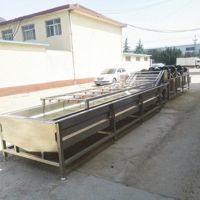 海帶絲清洗機 不銹鋼全自動清洗設備 氣泡清洗機廠家