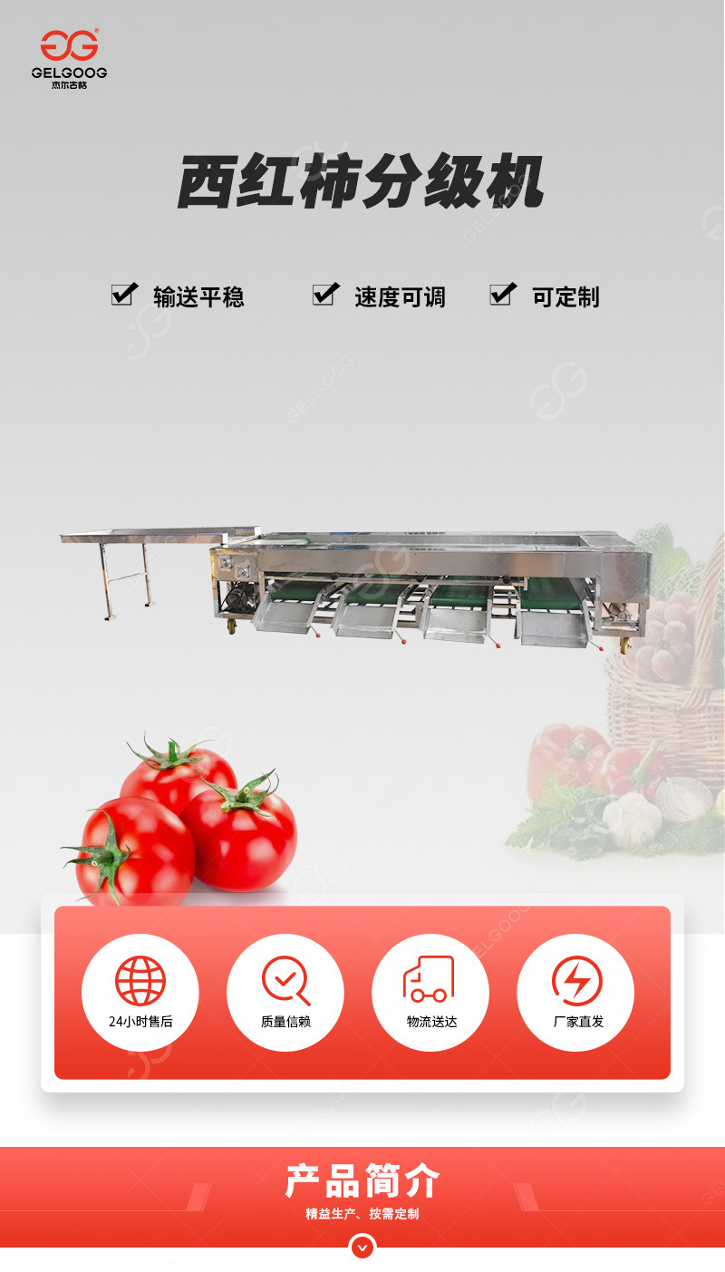 西紅柿滾杠分級機(jī)首圖xin_01