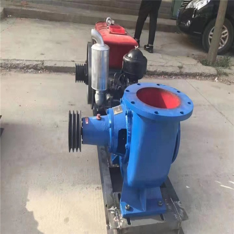 200HW-8大流量臥式混流泵水利工程城市排澇泵柴油機農用水泵