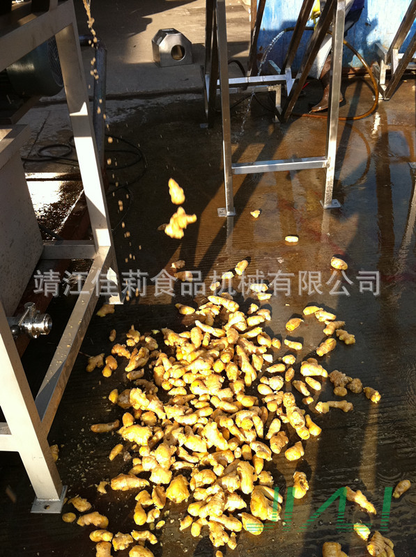 滾筒清洗機（生姜清洗效果）