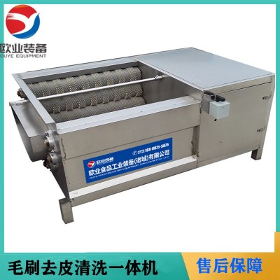 歐業毛刷清洗機 芋頭去皮機 全自動小型蓮藕脫皮機
