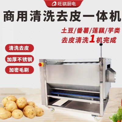 獵鷹毛刷脫皮清洗機土豆全自動姜芋頭蓮藕蘿卜生蠔豬蹄毛棍去皮機