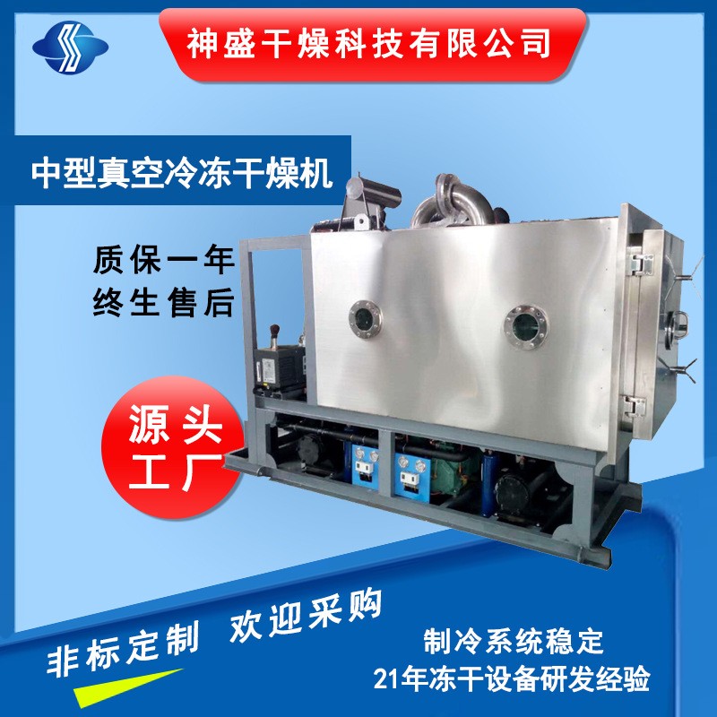 調味品方便食品冷凍干燥機 大型水果蔬菜低溫冷凍干燥機廠家現貨