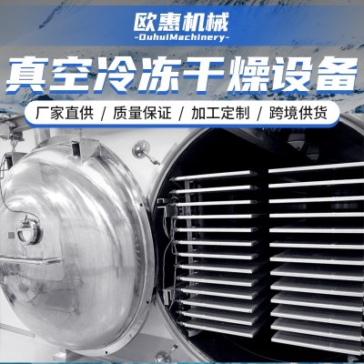 定制蔬菜水果肉類冷凍干燥設備 自動化真空凍干機器凍干機冷干機