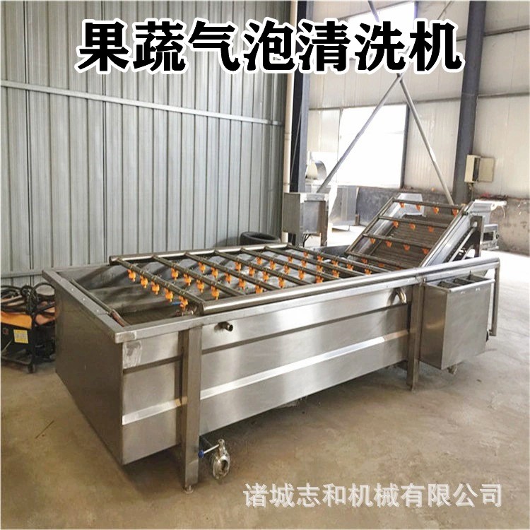農(nóng)副產(chǎn)品果蔬氣泡清洗機 中藥材噴淋清洗設(shè)備