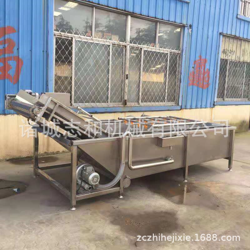 廠家直供翻浪清洗機 蔬菜水果氣泡清洗機 中藥材清洗設(shè)備