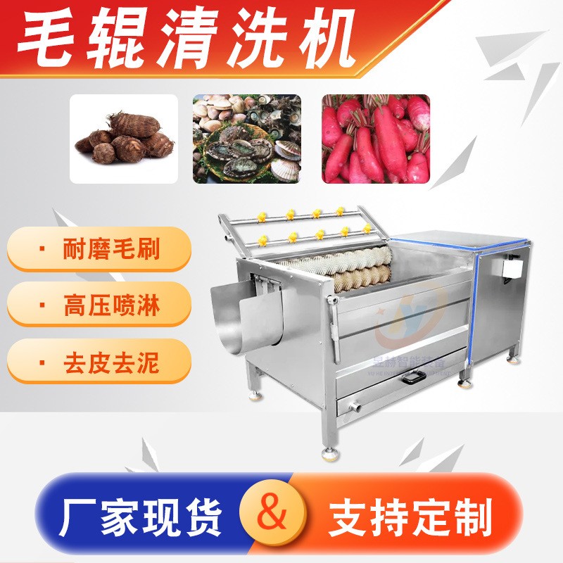 根莖果蔬毛輥清洗機 全自動土豆去皮清洗機 小龍蝦去泥沙清洗機