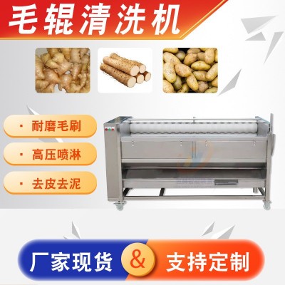 全自動大型蔬菜生姜土豆清洗去皮設備 海蠣子生蠔去泥毛輥清洗機