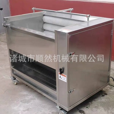土豆去皮毛輥清洗機全自動紅薯清洗去皮機大姜蘿卜毛輥清洗設(shè)備