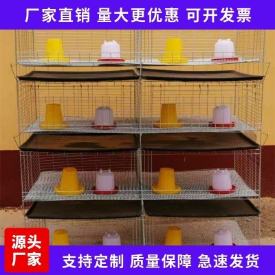 廠家現(xiàn)貨供應 H型加粗加密小雞籠 階梯式自動化養(yǎng)殖設(shè)備