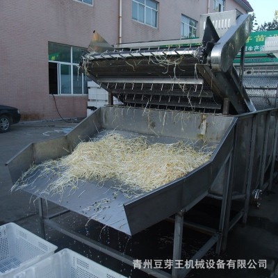 全自動豆芽清洗機 商用綠豆芽清洗機 源頭工廠大型綠豆芽清洗設(shè)備